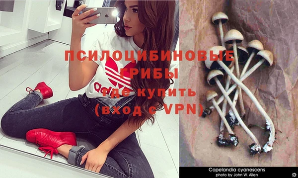 индика Верея