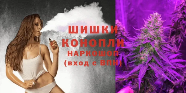 индика Верея