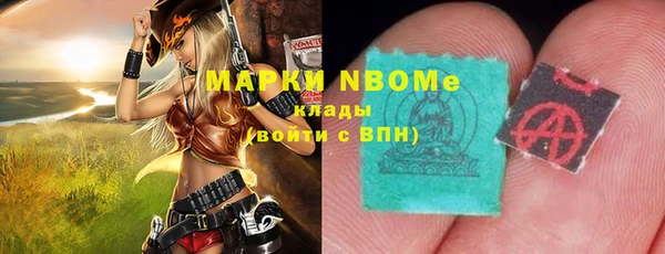 индика Верея
