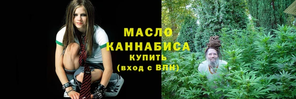 индика Верея