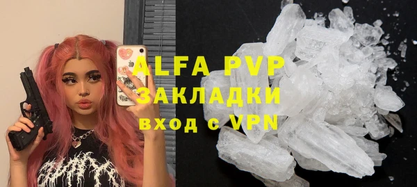 индика Верея