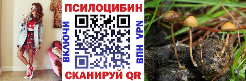 Псилоцибиновые грибы MAGIC MUSHROOMS  мега как войти  Кинель 